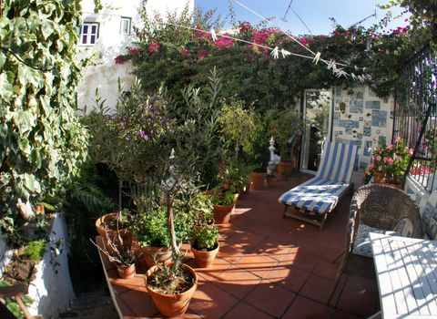 Luxury well designed terrace with a lot of flowers           