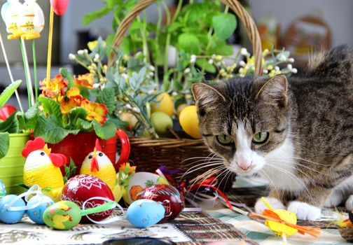 Mix of beautiful handmade Easter colored eggs, rabbit and funny cat