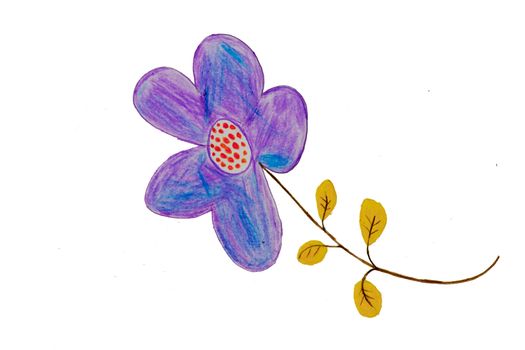 drawing graphics, pen,Flower