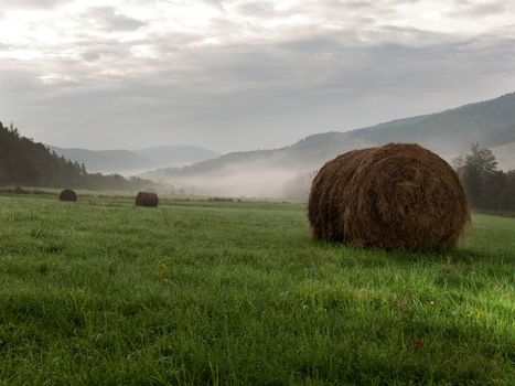 Photography hay bale in the morning in the meadow