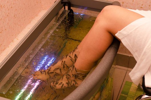 Fish spa pedicure wellness skin care treatment
