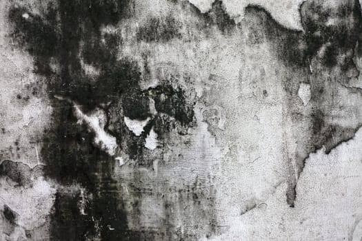 The Grunge cracked concrete wall for design