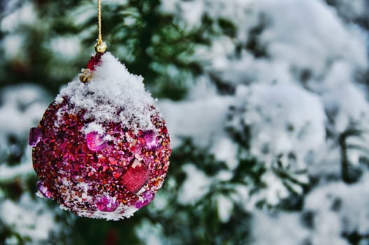 A purple christmas bulb hanging on a snow covered pine