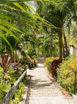 Ninety nine steps framed by red flower blossom in Charlotte Amalie St Thomas