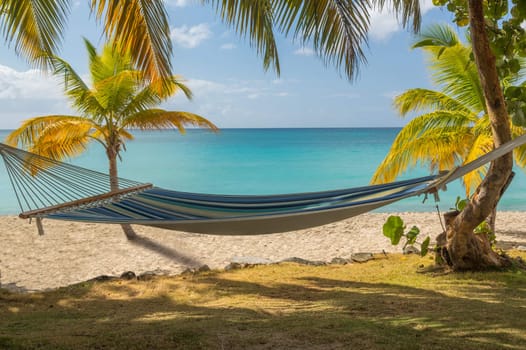 Hammock swinging between palm trees on caribbean beach by blue ocean