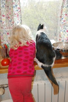 Girl and cat looking at window.