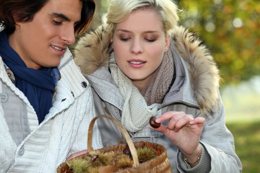 Couple collecting chestnuts