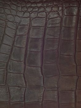 A close up shot of leather hide