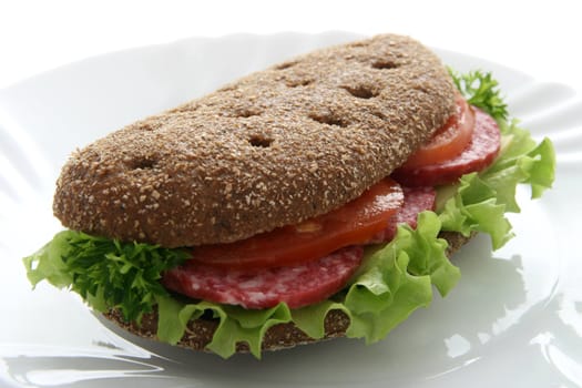 sandwich with salami