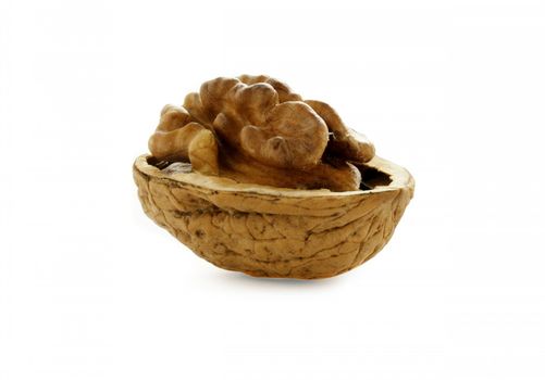 Close up of fresh walnut against white background