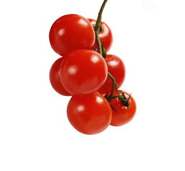 beautiful red tomatoes