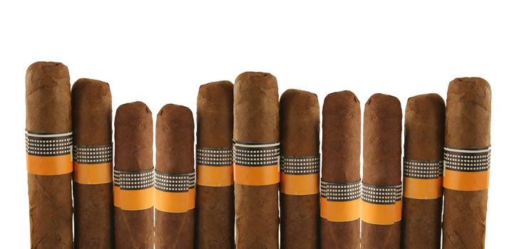 isolated cigars on white background