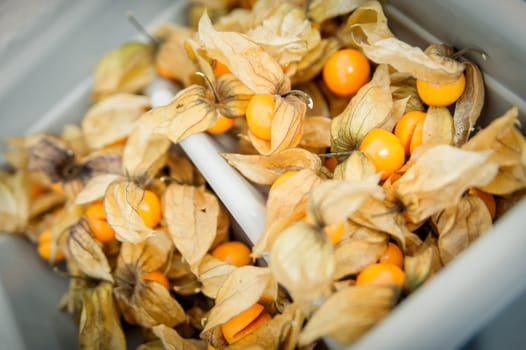 Lot of opened physalis in a basket