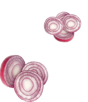 the sliced red onion on white background