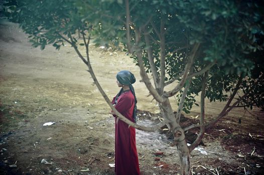CAIRO - JAN 29: a arab girl standing under the tree in a Egyptian villiage.
.Jan 29,2013 in Cairo,Egypt.