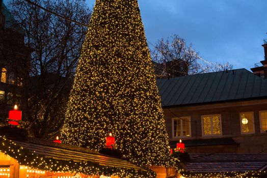 HAMBURG - DECEMBER 1, 2012: Beautifully decorated stands and trees in a winter evening at the Christmas market in Hamburg, Germany on December 1, 2012. The famous Hamburg Christmas market is located around the town hall and is a popular tourist attraction due to its gorgeous decorated stands.