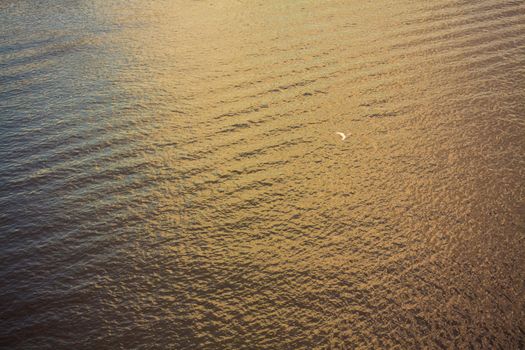 Sea surface with waves at sunset