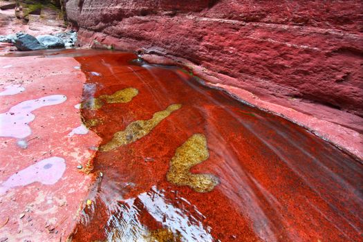 Stream at the bottom of Red Rock Canyon of Waterton Lakes National Park - Canada.