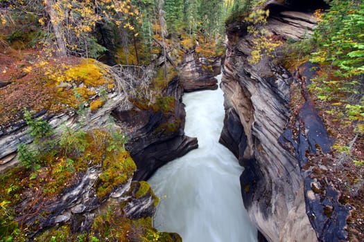 Narrow Athabasca Falls Gorge in Jasper National Park of Alberta, Canada.