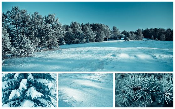 Landscape: forest in winter, a set of high resolution images