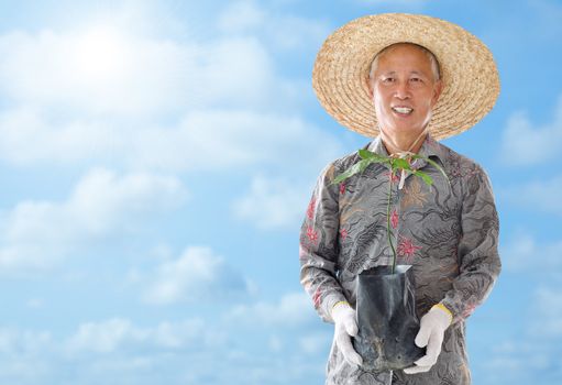Asian Chinese farmer holding a young plant under hot summer sun