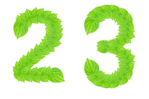 Number made from green leafs with number 2 to 3