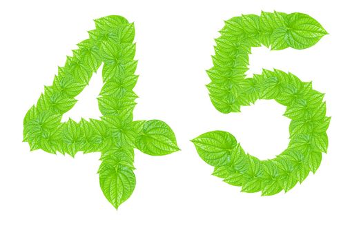 Number made from green leafs with number 4 to 5