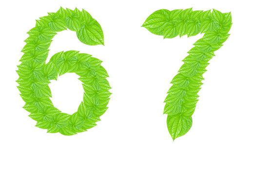 Number made from green leafs with number 6 to 7