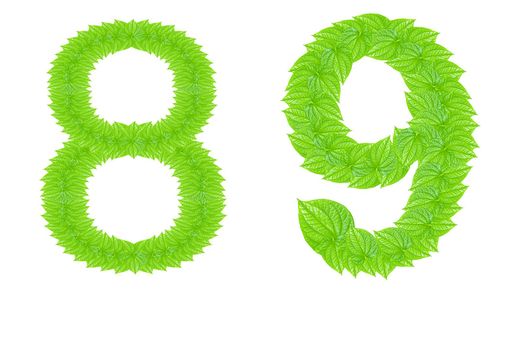 Number made from green leafs with number 8 to 9
