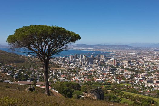 South Africa, Cape Town, seen from Signal Hill