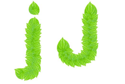 English alphabet made from green leafs with letter J in small capital and large capital letter