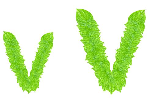 English alphabet made from green leafs with letter V in small capital and large capital letter