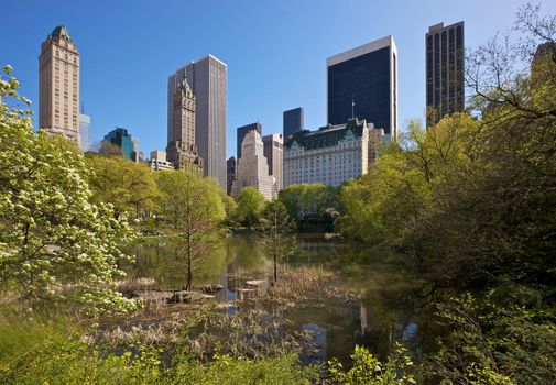 New York skyline, seen from Central Park