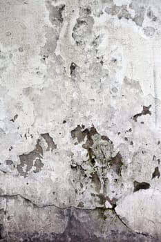 The Grunge cracked concrete wall for design