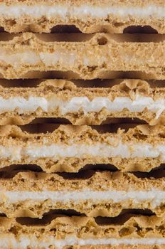 Waffle texture background. Macro front view.