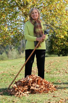 Woman raking up the autumn leaves