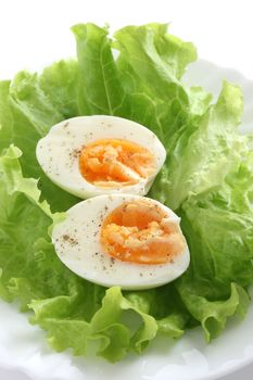 boiled egg on lettuce