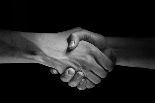 Two hands unite with eachother as deal agreement