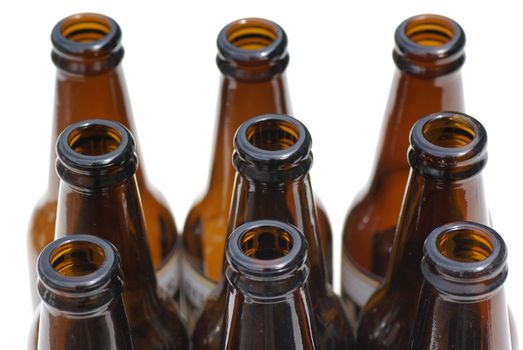 Nine empty isolated beer bottles.