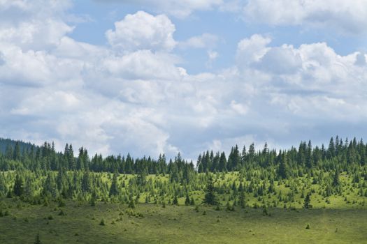 Beautiful summer mountain landscape.Location: Apuseni Mountains,Transylvania,Romania.