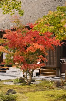 Colorful beautiful Japanese garden in autumn.Location:Matsushima,Japan.In fact this garden is a Japanese copy (in Japan) of the most famous gardens from Kyoto(Ryoanji,Enriakuji).