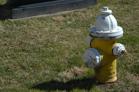 A closeup of a yellow fire hydrant in a small city