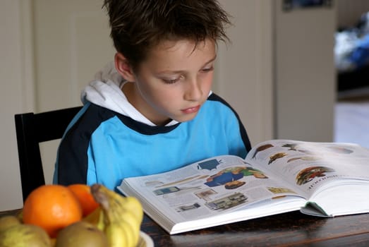 Young boy reading an encyclopedia.