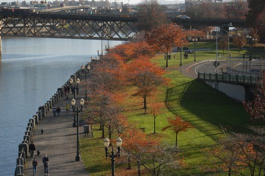 a fall scene along the river in Portland Oregon