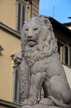 Florence - Lion Marzocco. the lion called marzocco created by donatello in the 15th century is a symbol of the florentine army in the middle age.