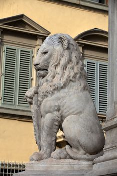 Florence - Lion Marzocco. the lion called marzocco created by donatello in the 15th century is a symbol of the florentine army in the middle age.
