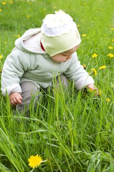 Baby girl among green grass and dandelions in spring