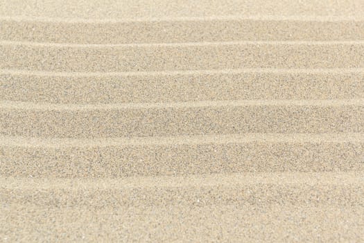 Sandy beach background with lines. Detailed sand texture. Top view 