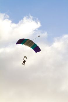 A person skydiving with their parachute open floats towards the ground on the north shore of Oahu. There are clouds in the blue sky with vibrant colors as the skydiver goes in for a landing.