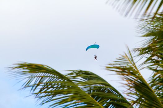 A person skydiving with their parachute open floats towards the ground on the north shore of Oahu. There are clouds in the blue sky with vibrant colors as the skydiver goes in for a landing.